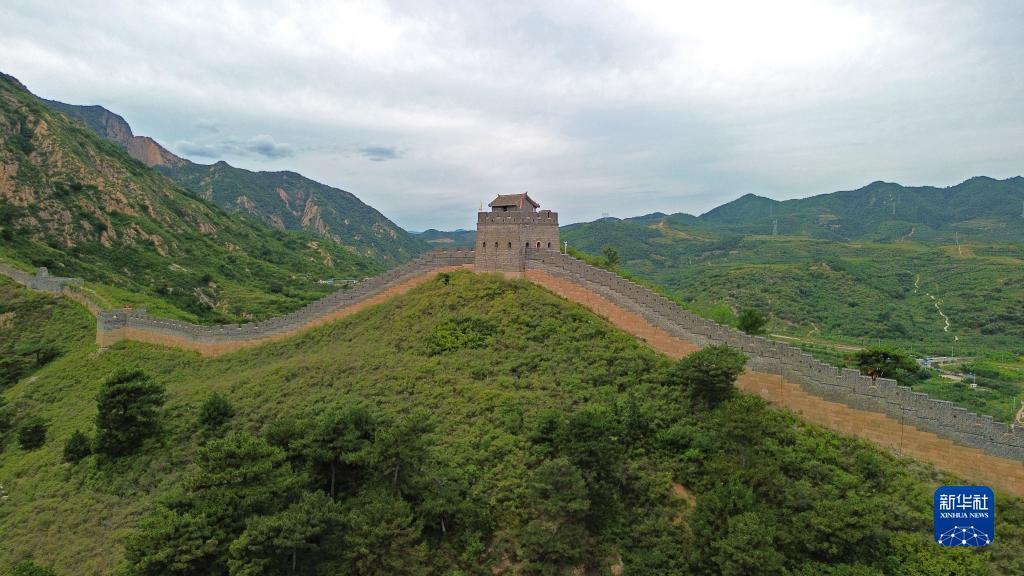 317顶级游戏